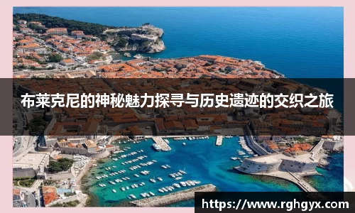 优游国际app